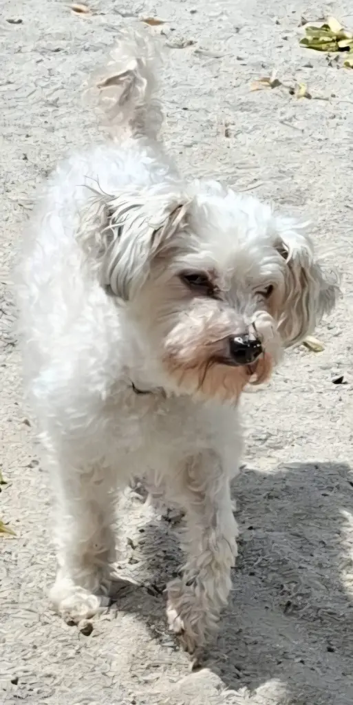 Bild von Max