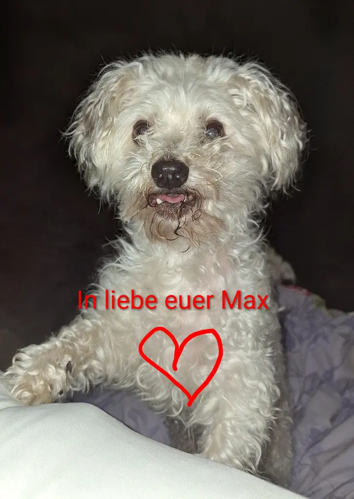 Bild von Max