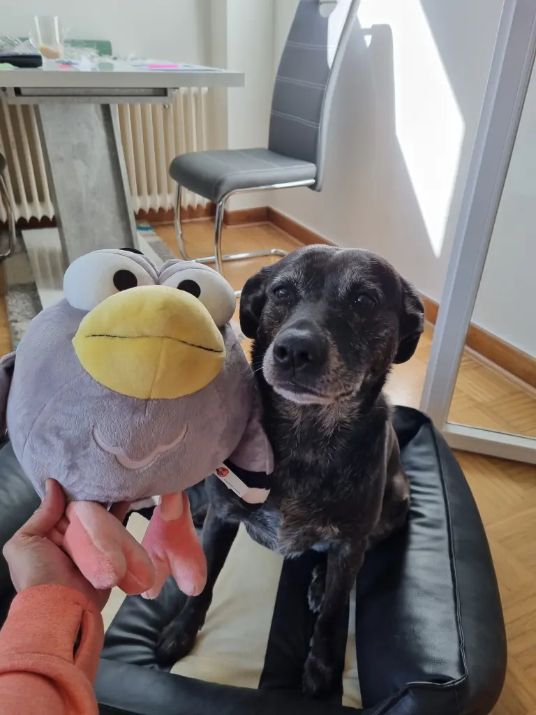 Bild von Lulu