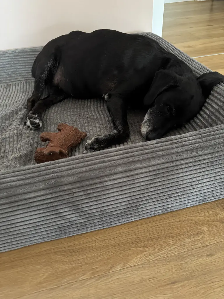 Bild von Sheila