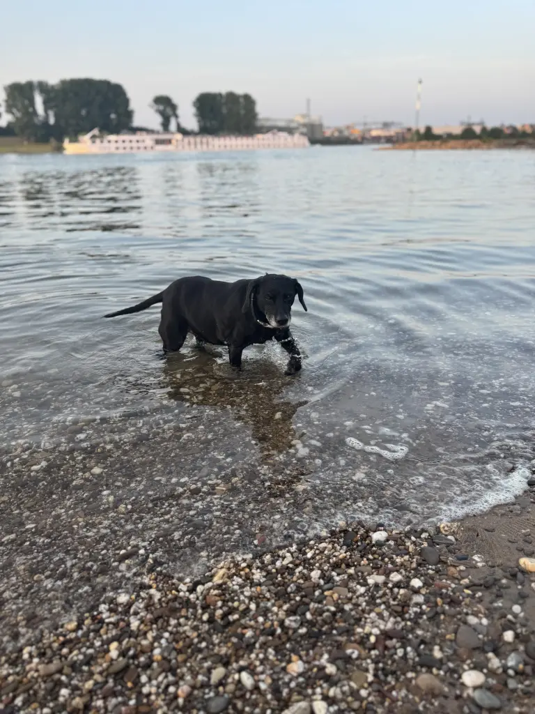 Bild von Sheila