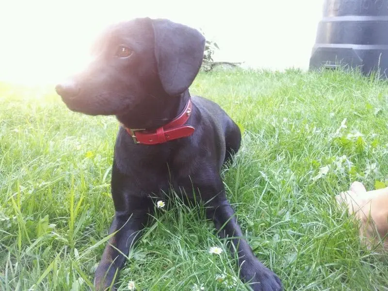 Bild von Sheila