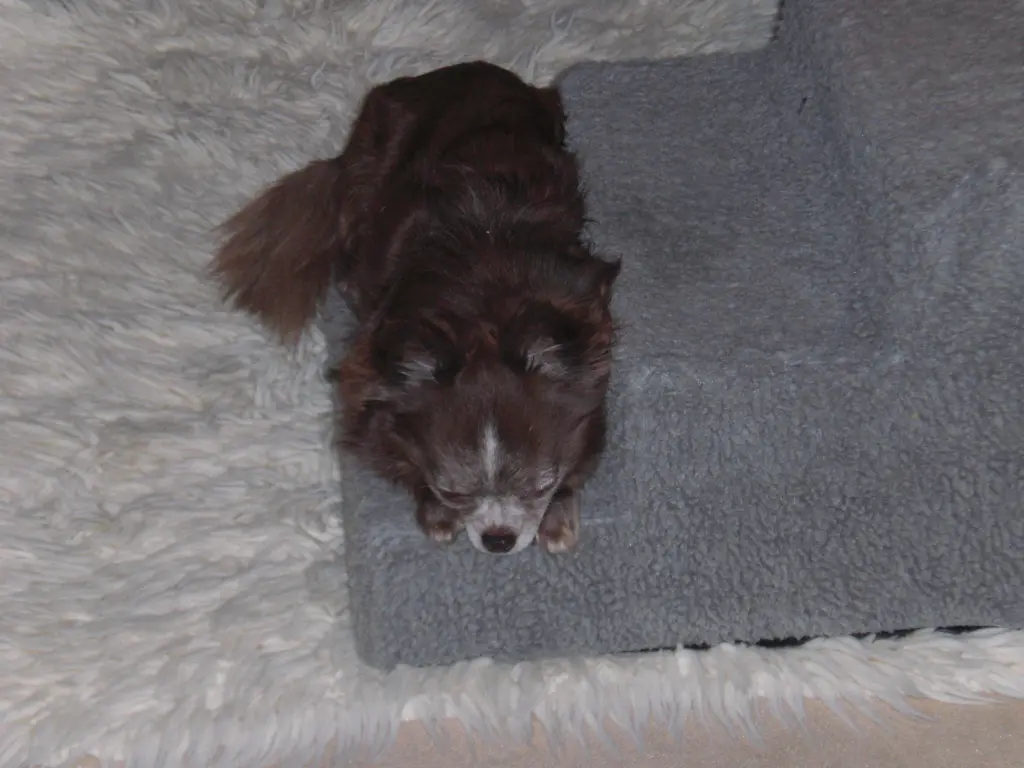 Bild von Tequila