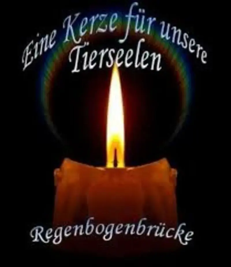 Condolence image of ❤️