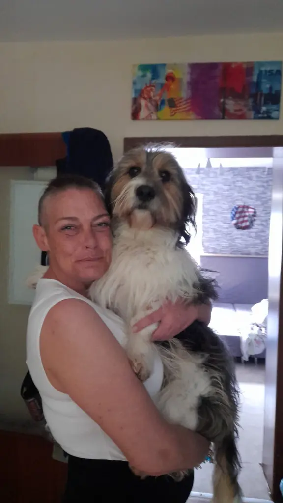 Bild von Pico