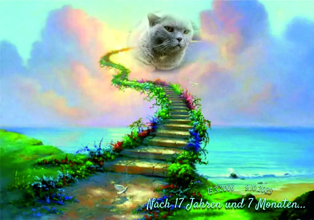 Image from Jimmy