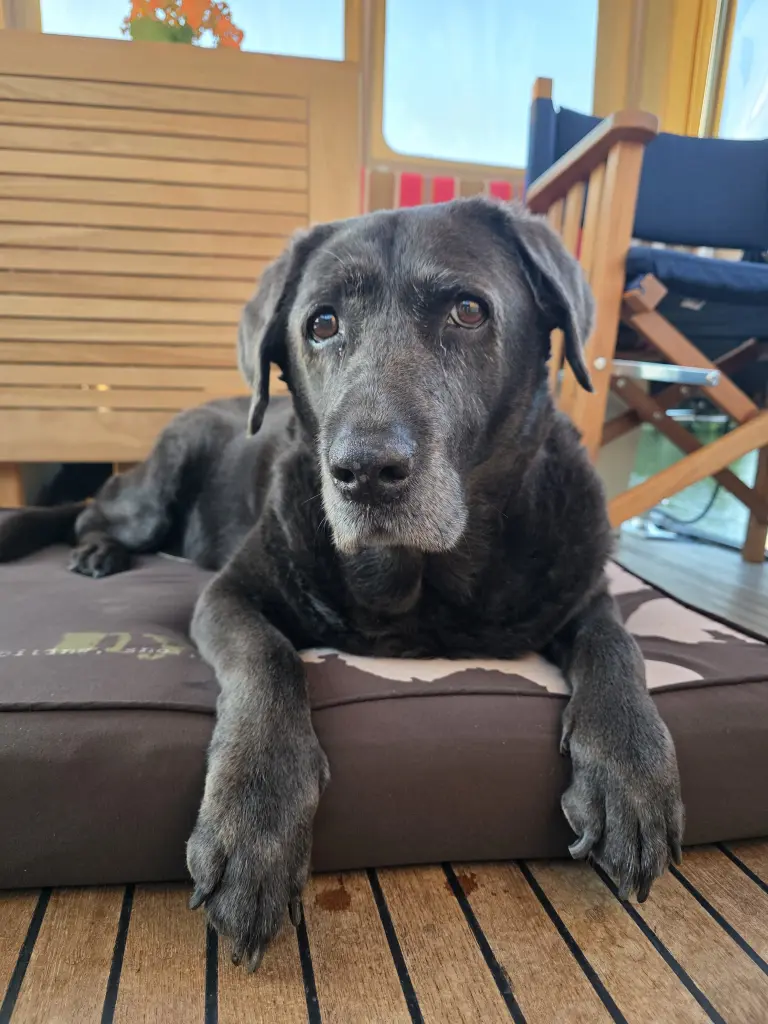 Bild von Chayenne