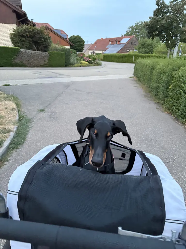 Deine Kutsche
