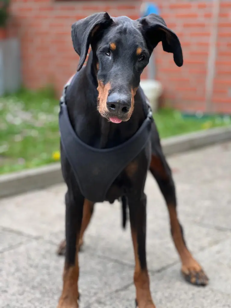 ❤️❤️