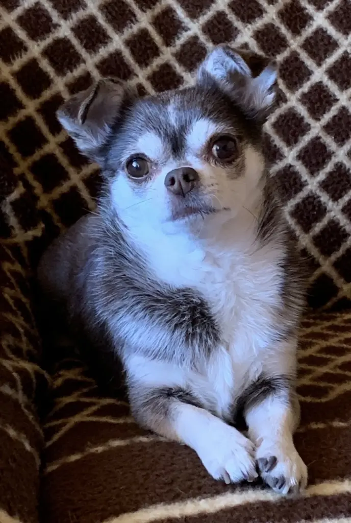Condolence image of Edith