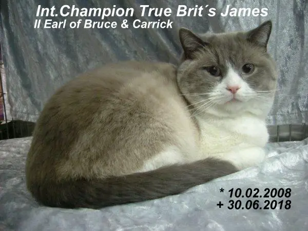 Image from Int.Champion James II Earl of Bruce & Carrick