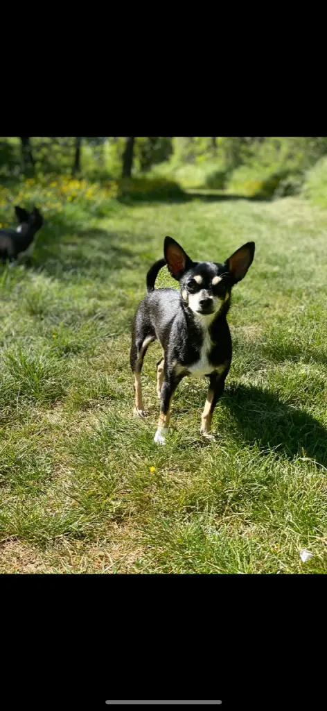 Bild von Tayla