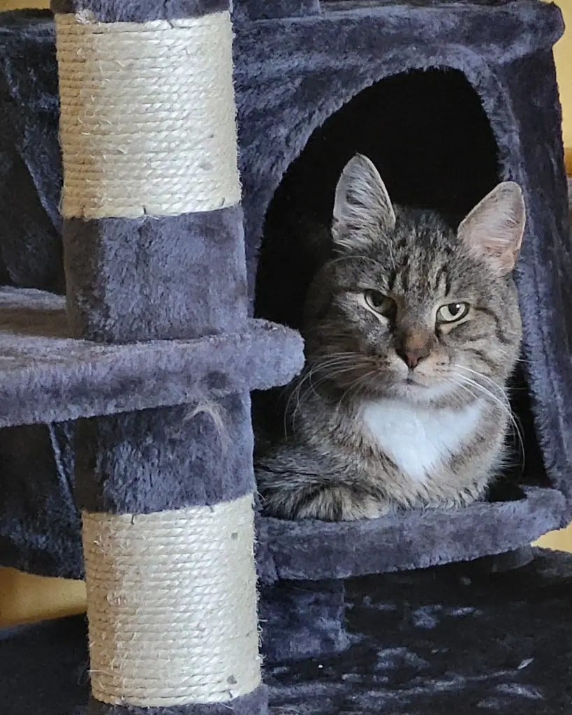 Bild von Levi