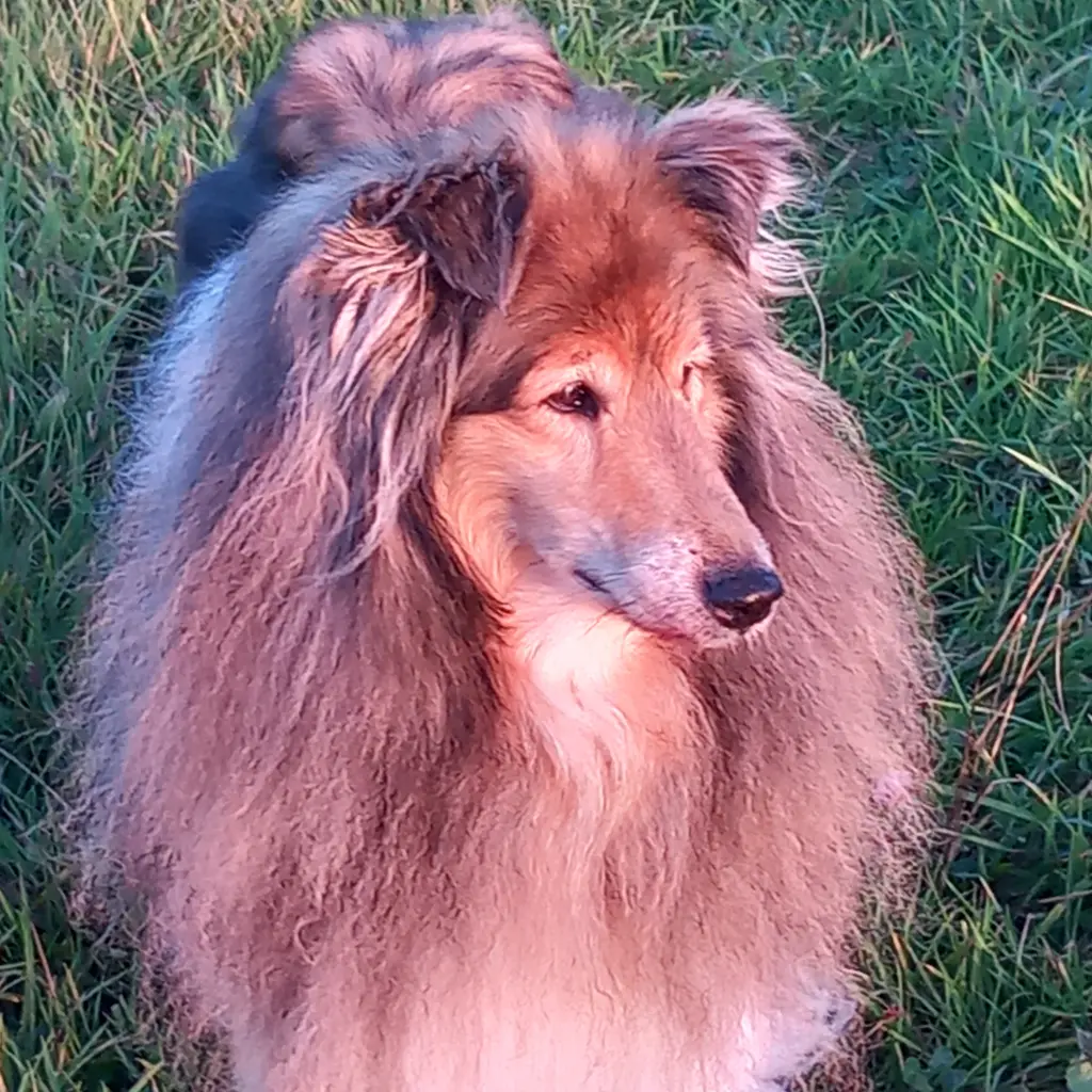 Bild von Samira