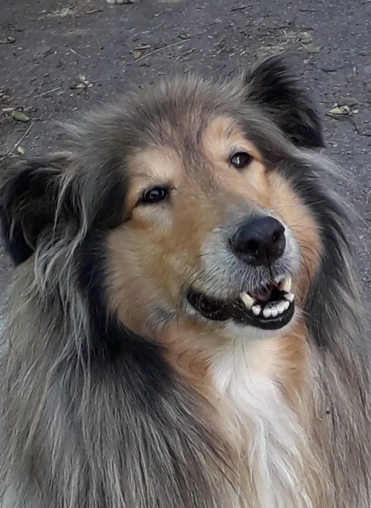 Bild von Samira