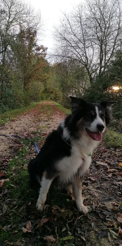 Bild von Teddy