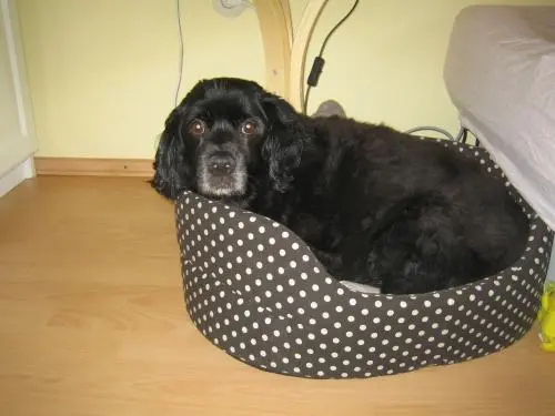 Bild von Filou