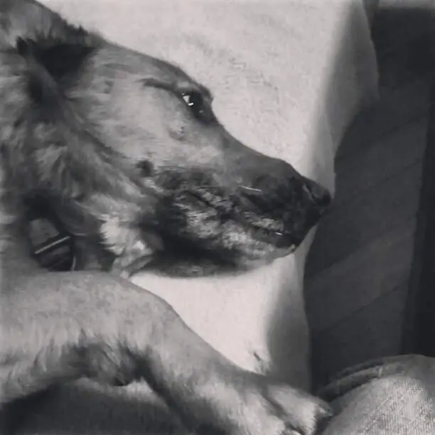 Image from Paula