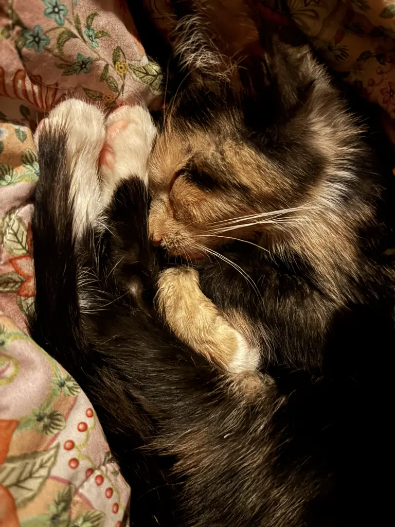 Bild von Winifred