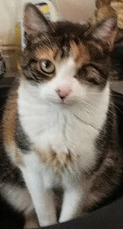 Bild von Whoopy