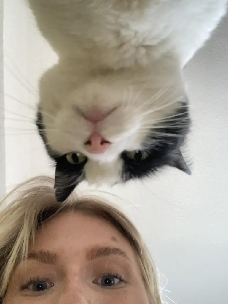 Andachtsbild von Mira