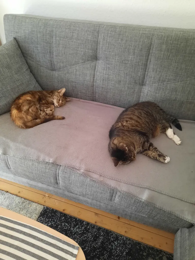 Charlie und Lisa.