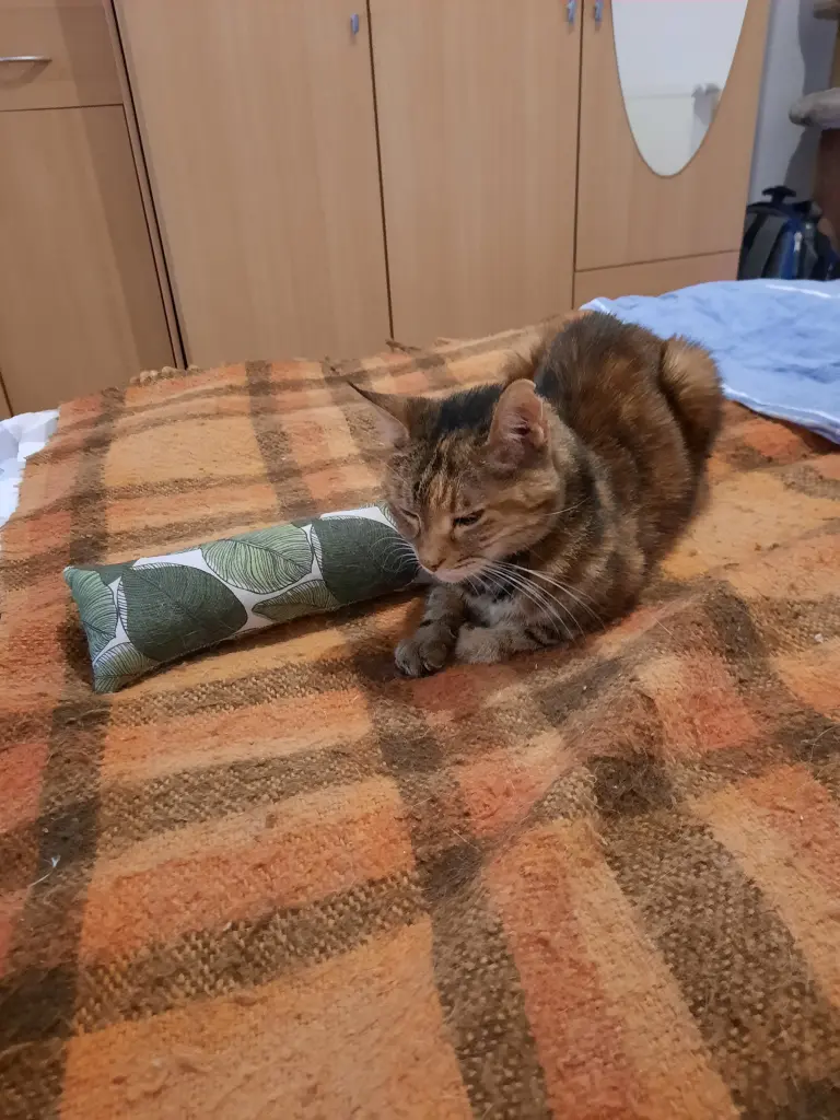 Klasse, so ein Bett.