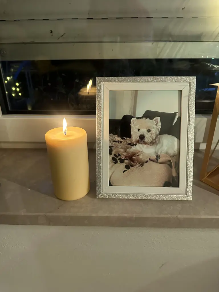 Image from Balou