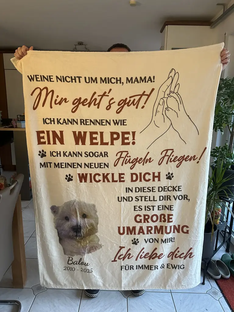 Image from Balou