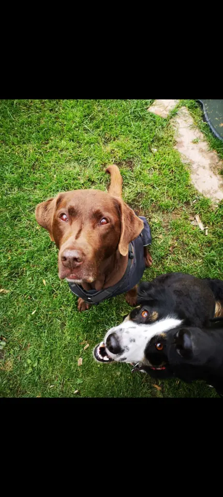 Image from ERNIE