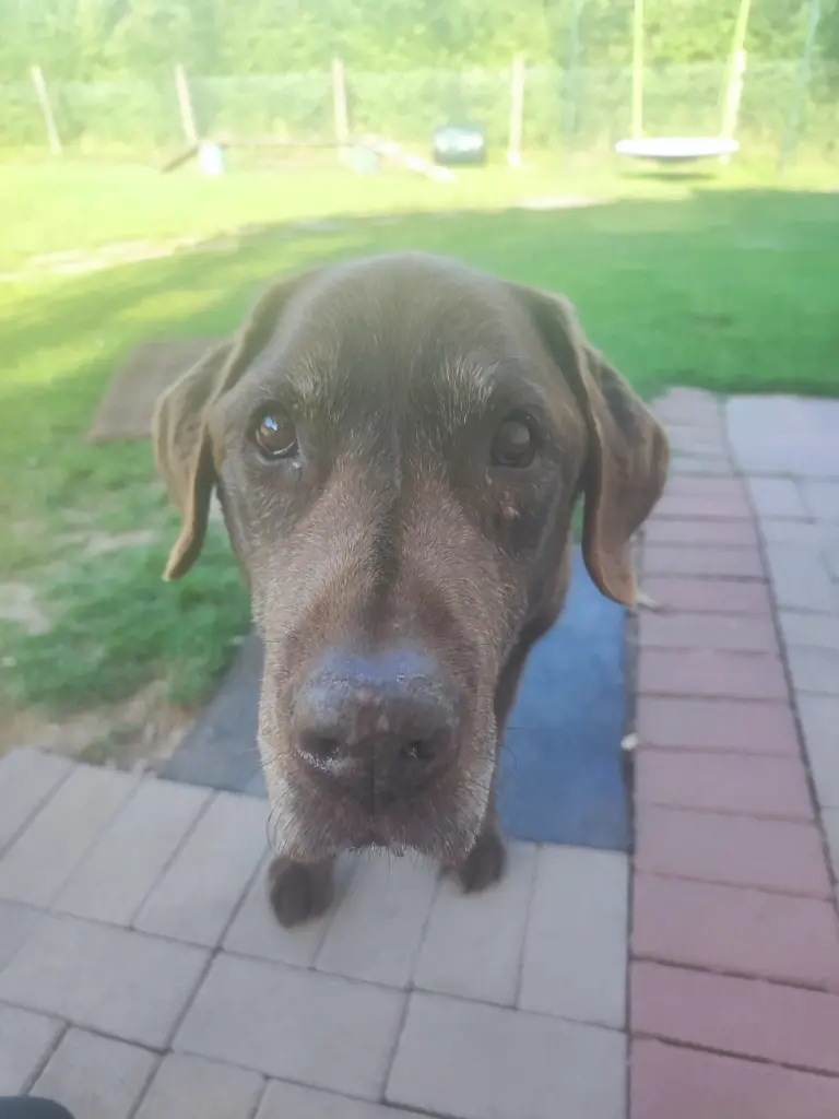 Image from ERNIE