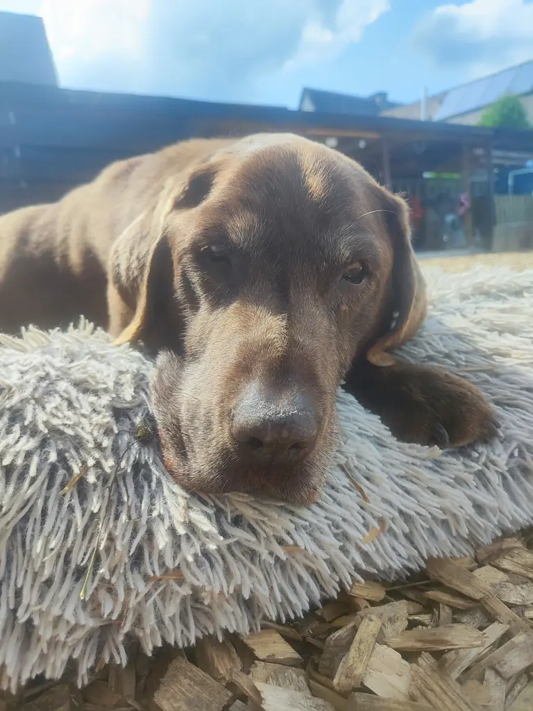 Image from ERNIE