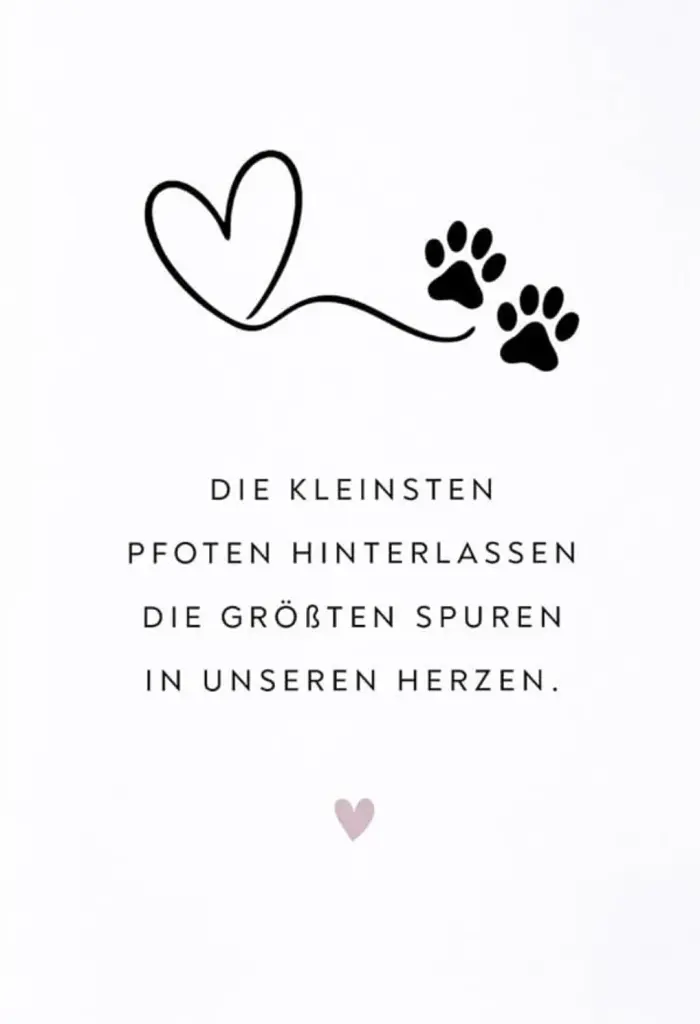 Condolence image of Katrin Timmler