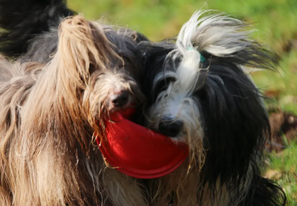 Image from Penny und Nana