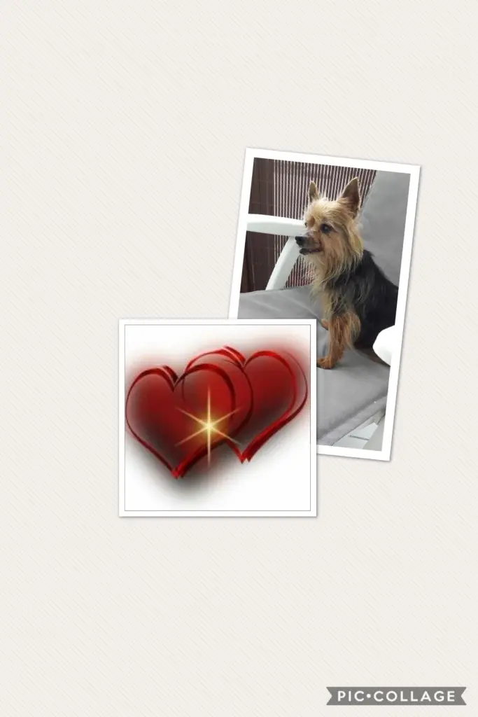 Image from Lea