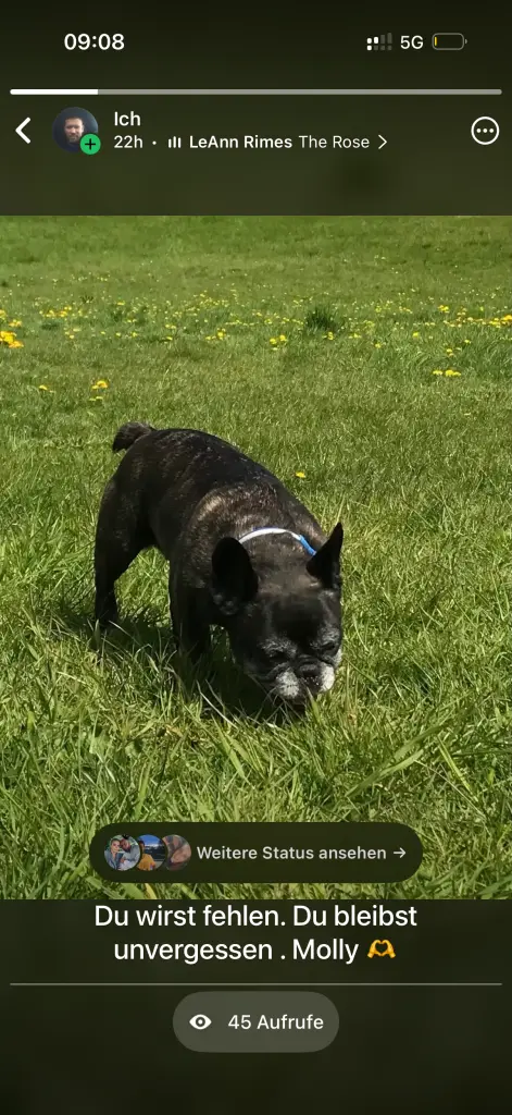 Bild von Molly