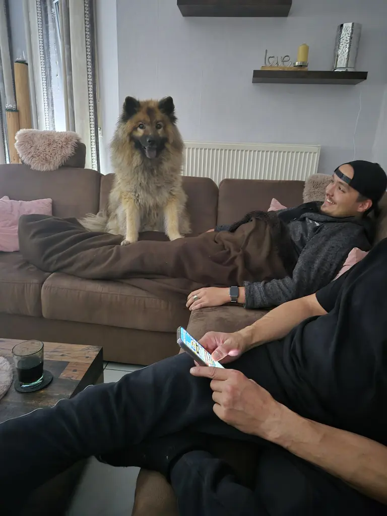 Bild von Jeremy