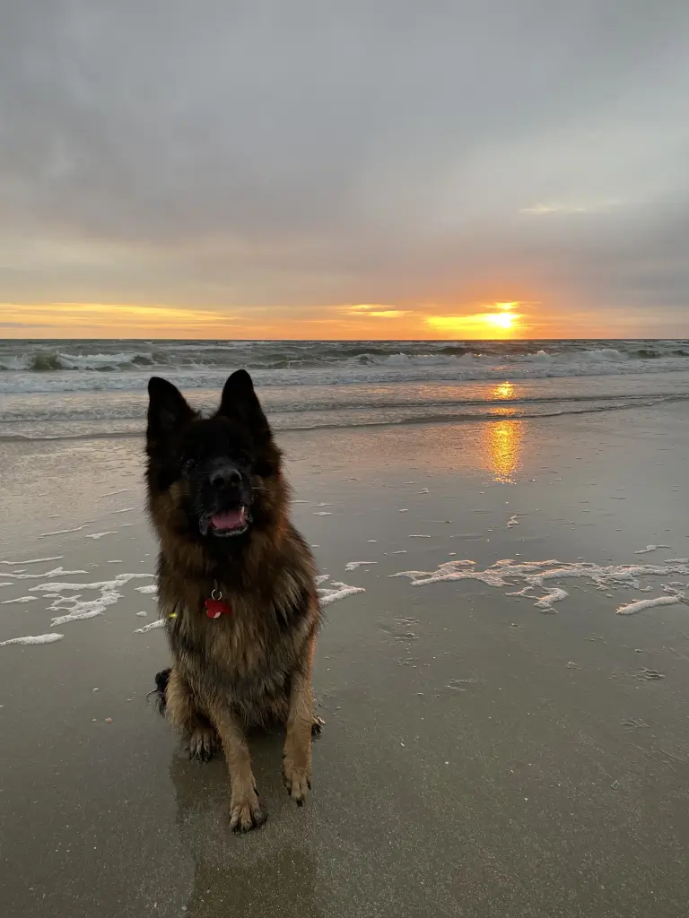 Urlaub Rømø