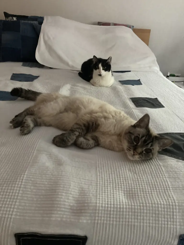 Lilly und Becky