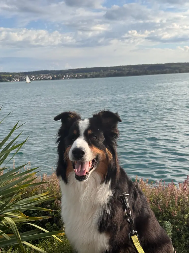 Andachtsbild von Ekki und Luna