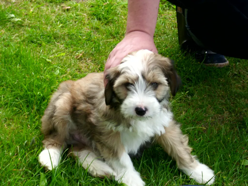 Bild von Mimi