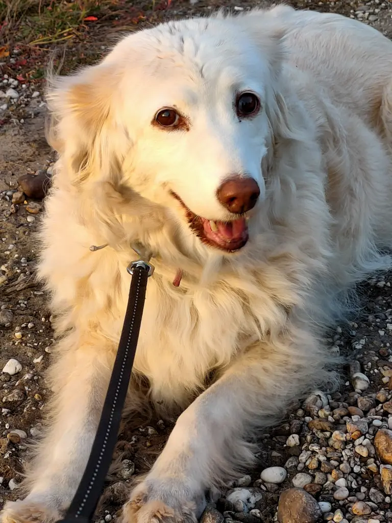 Bild von Fille