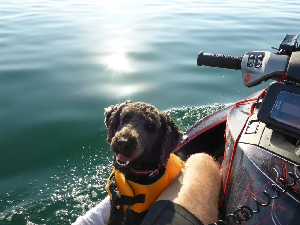Jetskiausflug Kroatien