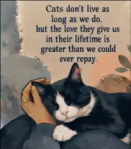 Condolence image of Snoopy und Pünktchen❤️❤️