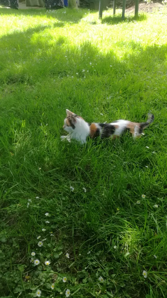 Bild von Maggy