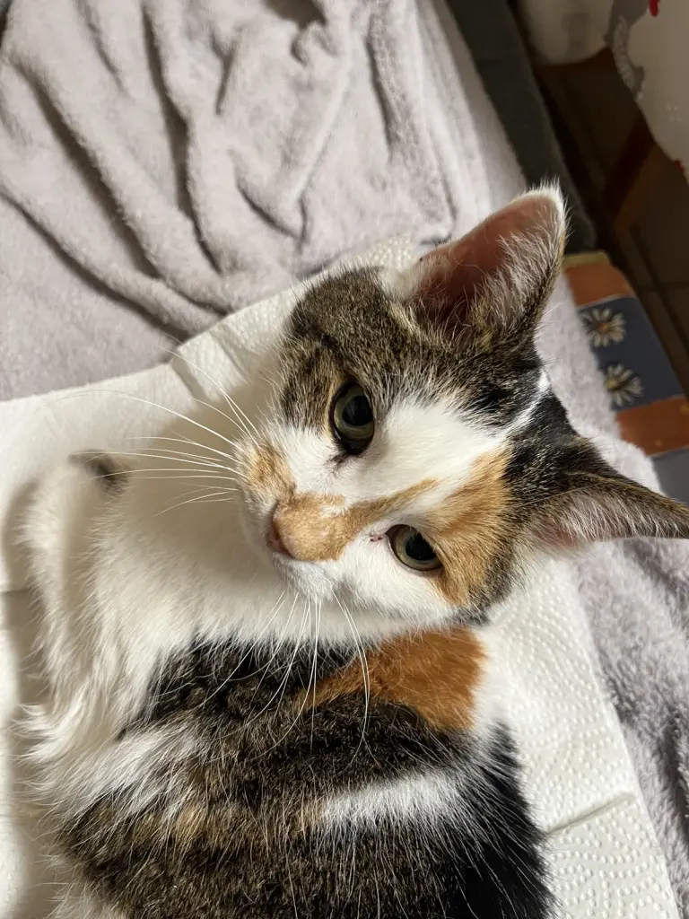 Bild von Maggy