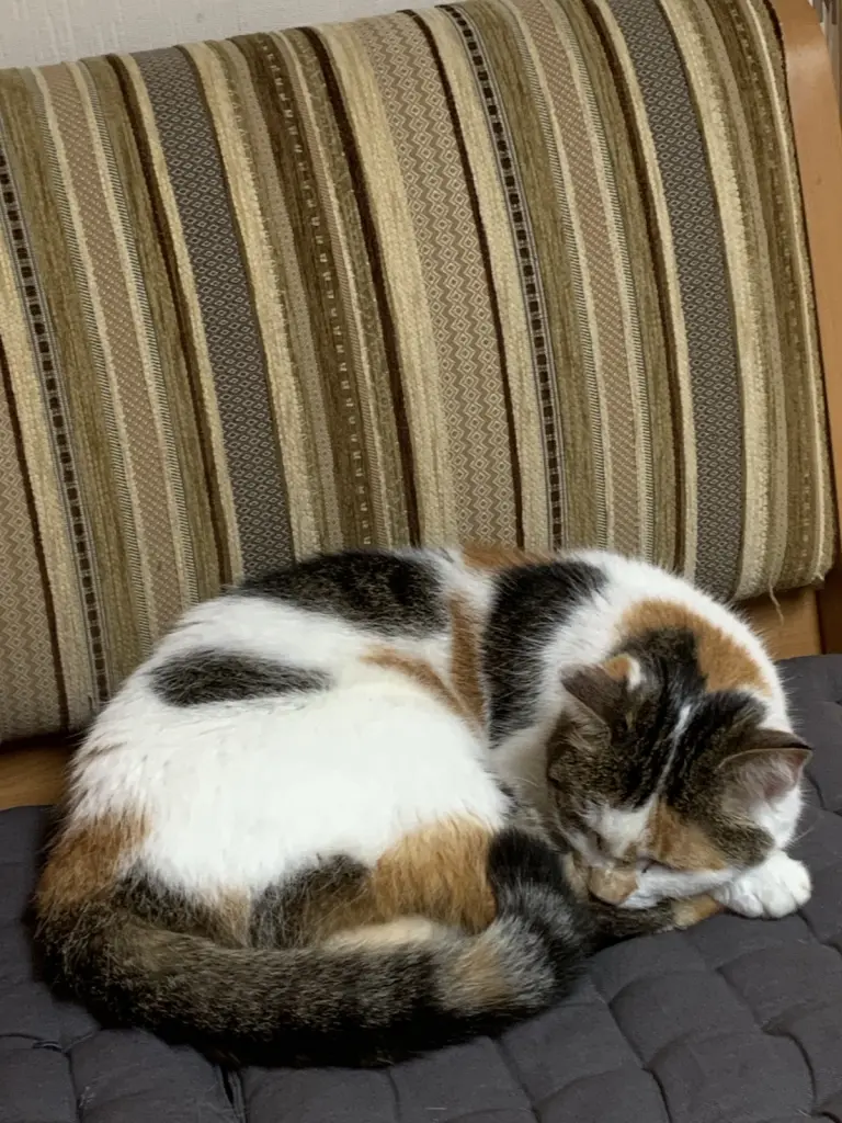 Bild von Maggy