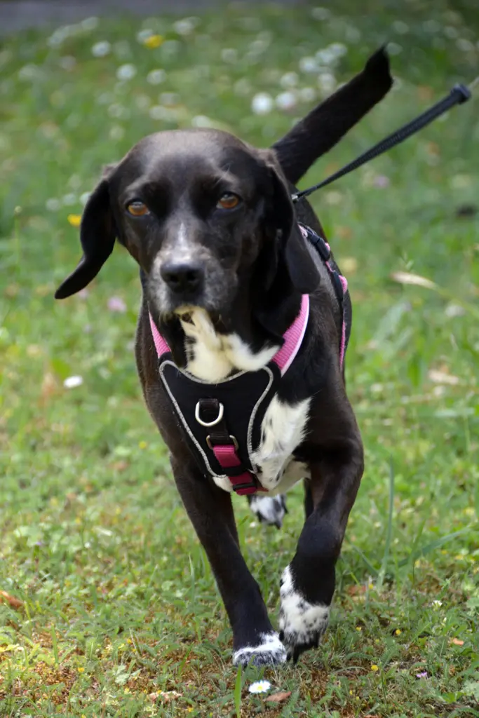 Bild von Stella
