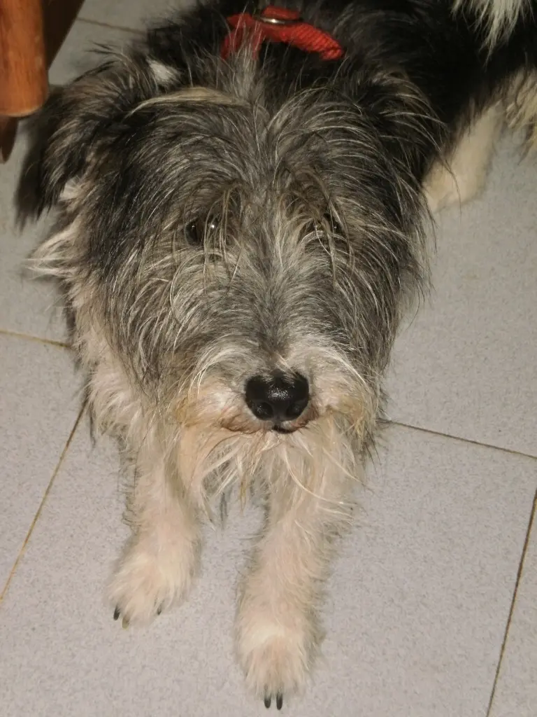 Image from Räuber