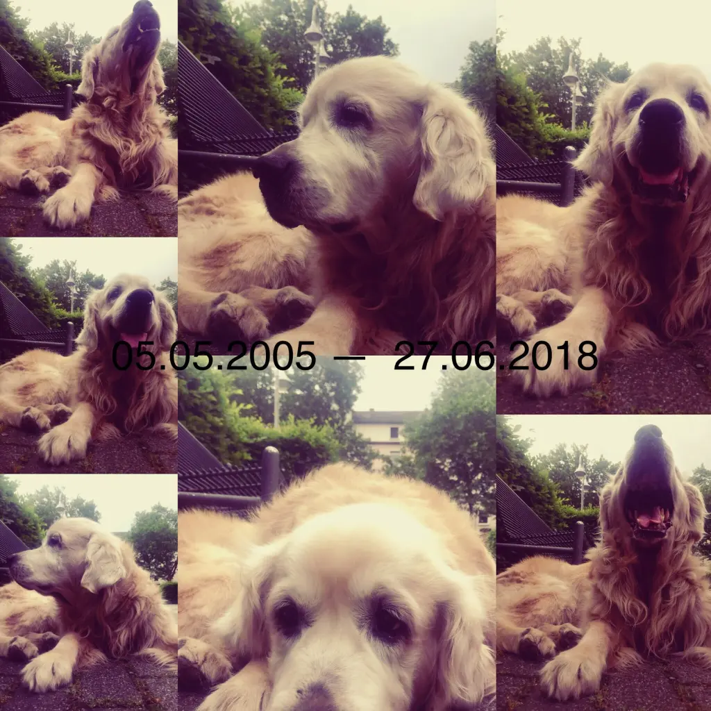 Image from Lucky